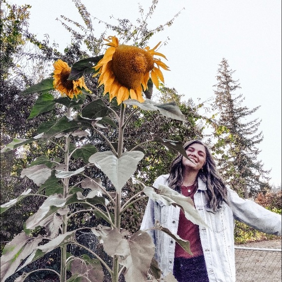 sunshinemissy
